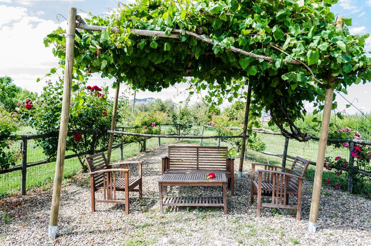 Agriturismo Il Roseto Marina di Grosseto Dış mekan fotoğraf